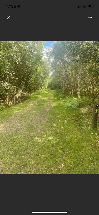 Market Street Shepherd'S Hut Leitrim Dromahair Esterno foto